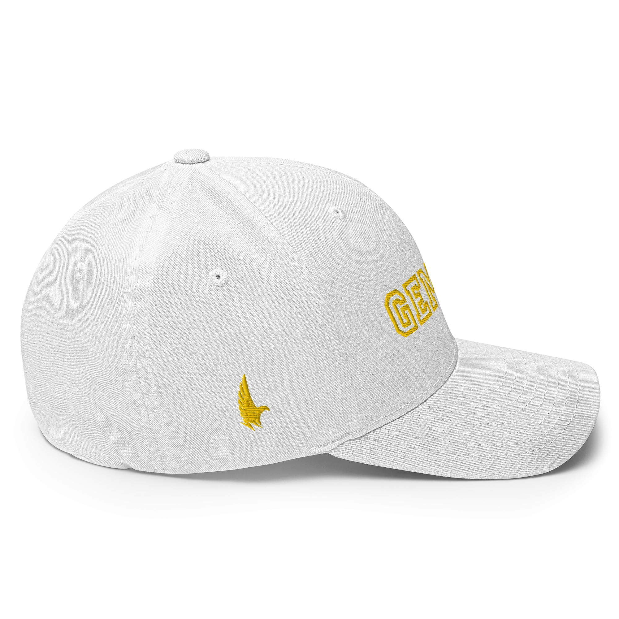 Gemini Legacy Fitted Hat