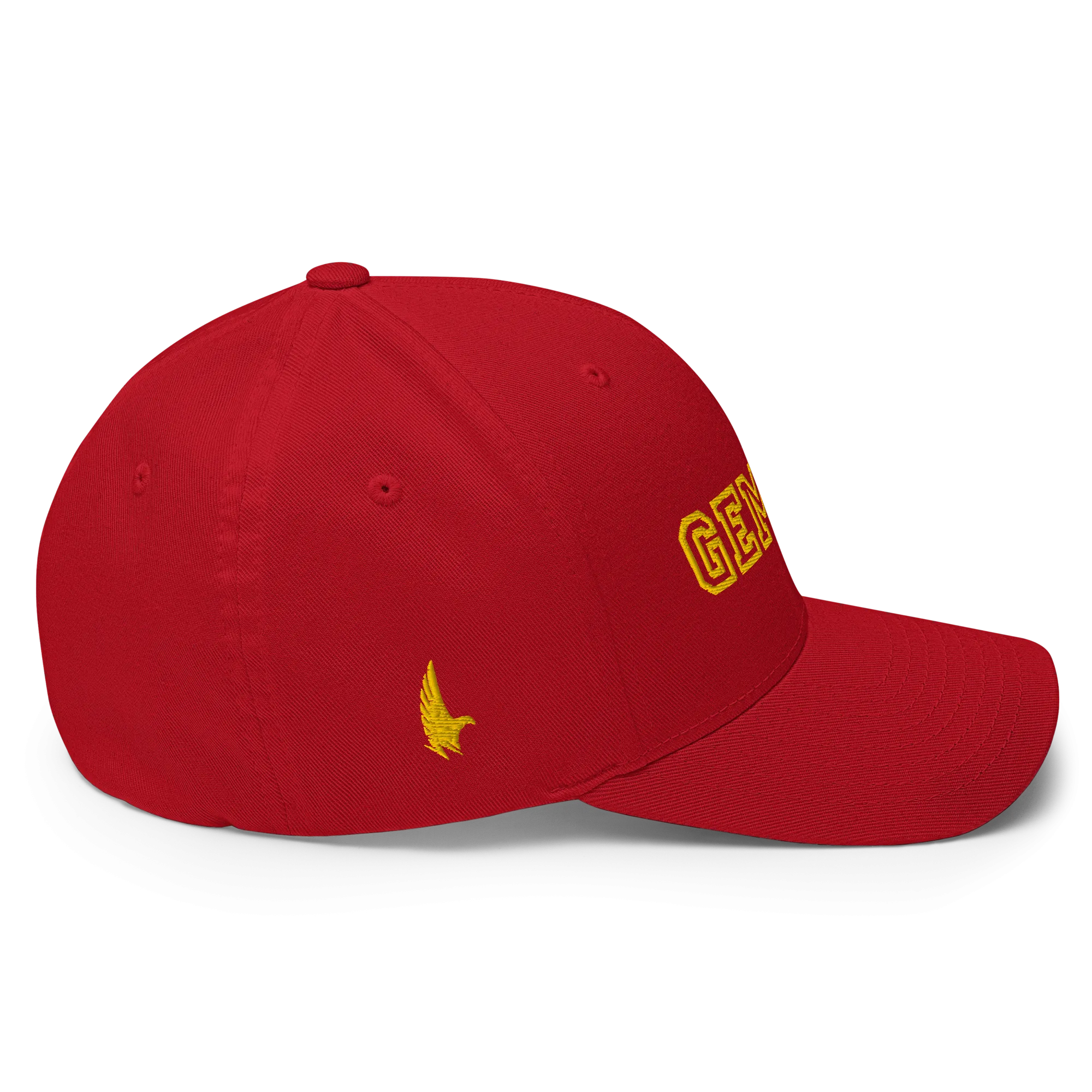 Gemini Legacy Fitted Hat