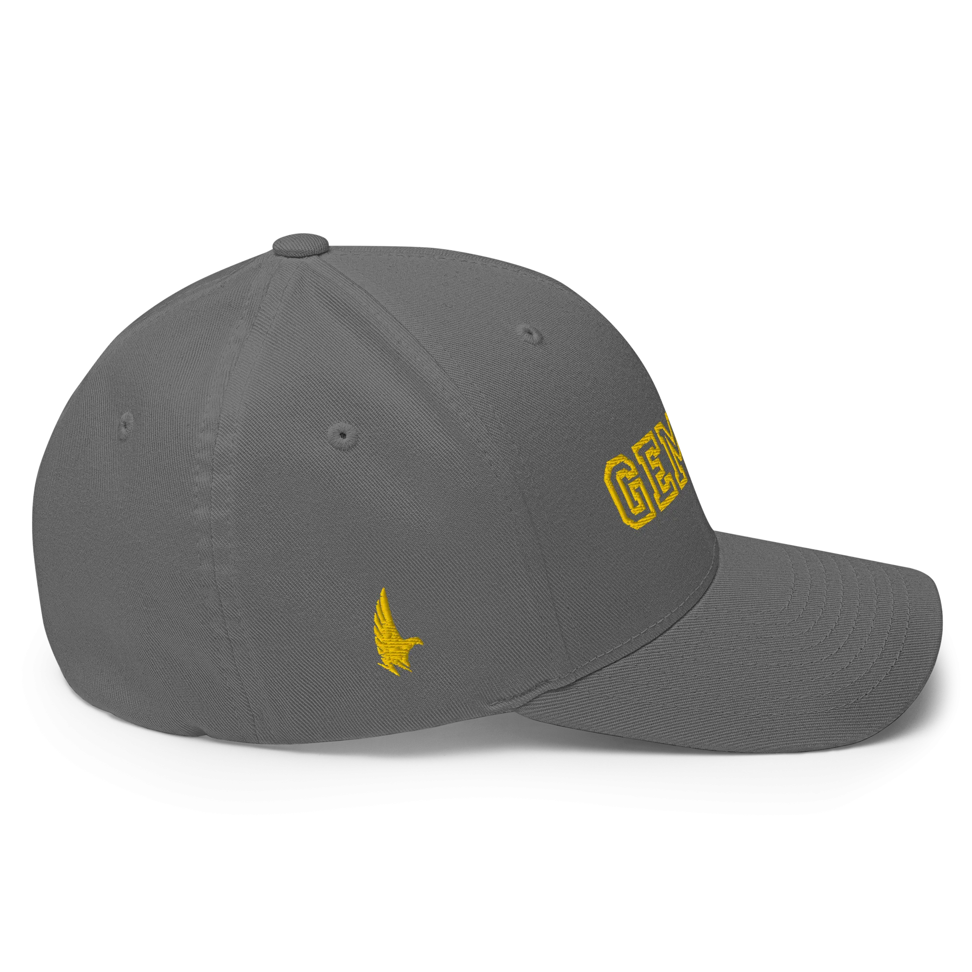 Gemini Legacy Fitted Hat